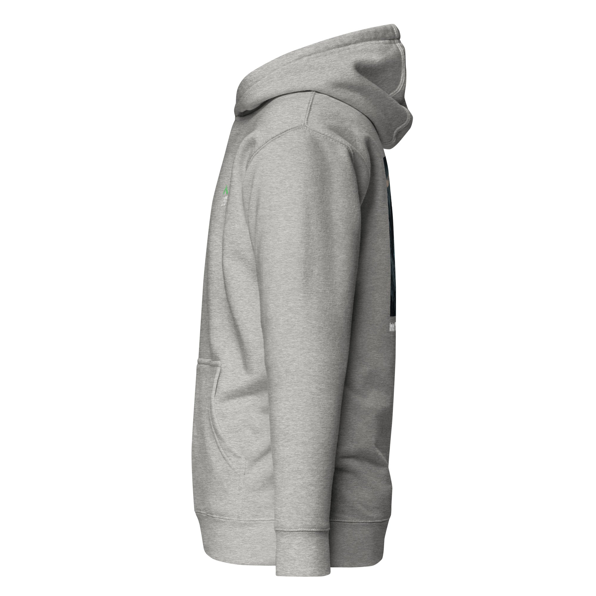 Into The Unknown - Premium Unisex Hoodie