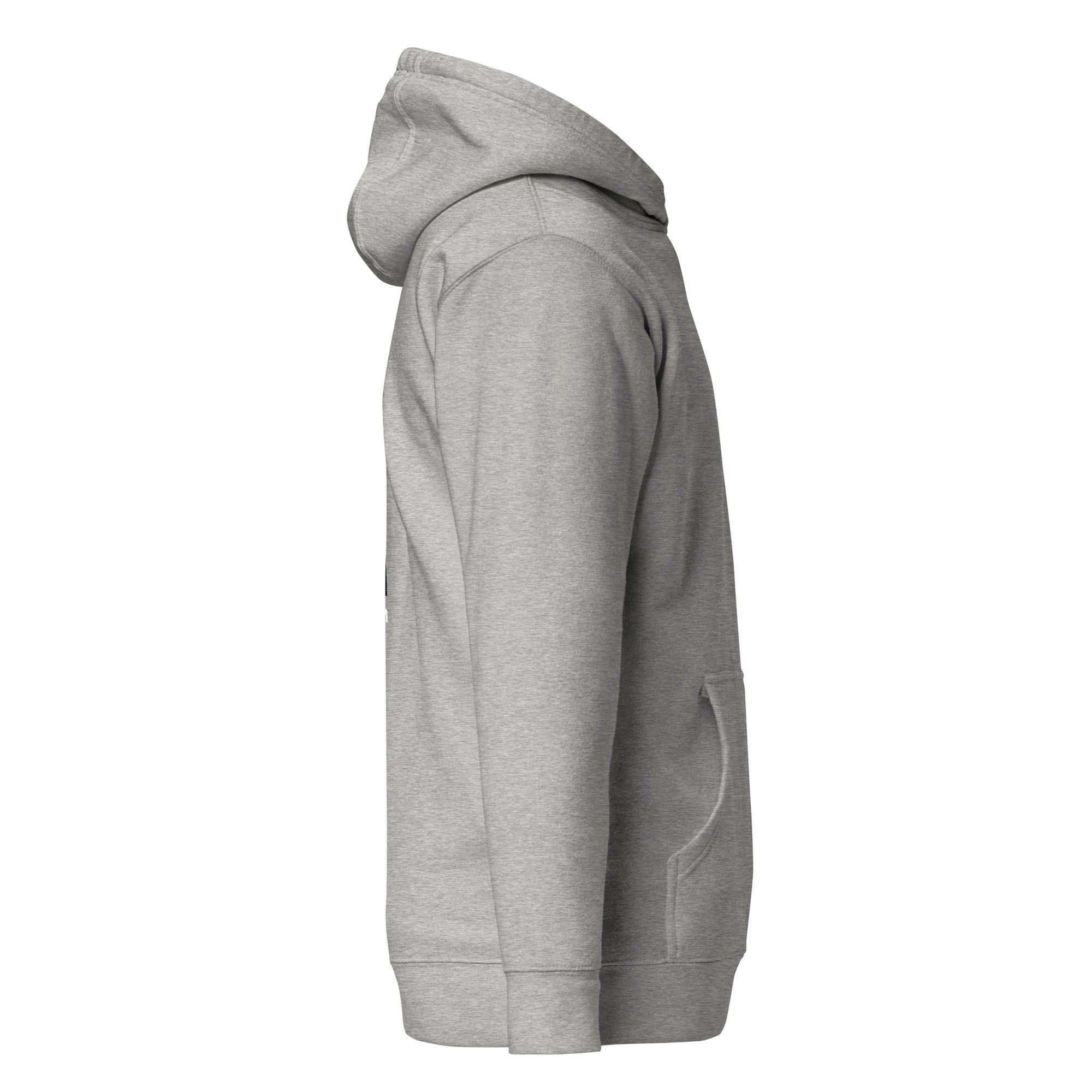 Into The Unknown - Premium Unisex Hoodie